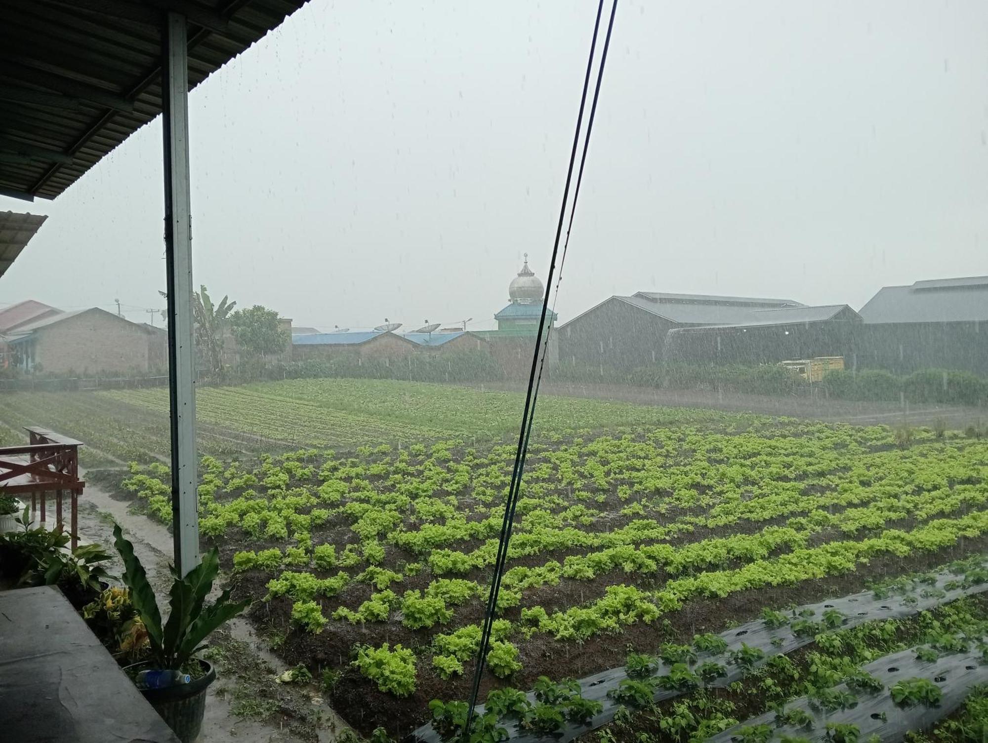 Vulkaan Homestay Berastagi Buitenkant foto